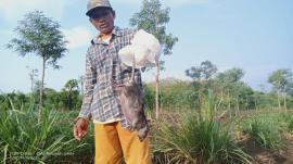 Padukuhan Gandu 1 dan 2 Melakukan GERTAK MI TIKUS